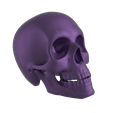 skull_02.png Skull Hanging Planter