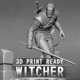 the-witcher-3d-model-stl.jpg Geralt Witcher 2 MODELS 1 PRICE