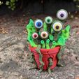 IMG_2089.jpg Planta de Monstro V1