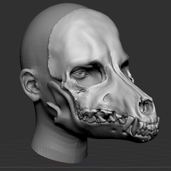 1,1.png 3D file Dog Skull Scary mask for cosplay・3D printer design to download
