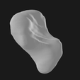 2.png Scaphoid Bone Right Hand