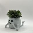 IMG_4063.jpg Resting Pot - Mini Succulent Planter