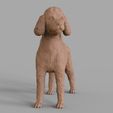 03.jpg Poodle model 3D print model