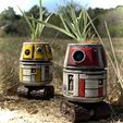 579B3C3D-7F98-4618-85CC-B60AE877CDBF.jpeg STAR WARS DROID GARDENER R4-PL AND R3-PL #PLANTERSXCULTS