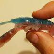 20190815_192948.jpg Free STL file Craw Mold for Silicone Soft Bait・3D printing design to download