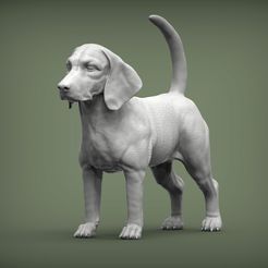 beagle2.jpg Beagle 3D print model