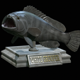 White-grouper-open-mouth-1.png fish white grouper / Epinephelus aeneus trophy statue detailed texture for 3d printing