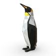 1.jpg king penguin