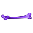 femur.STL Archivo STL gratuito femur bone / hueso femur・Idea de impresión 3D para descargar