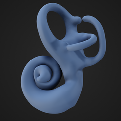 Cochlea_1.png STL file Cochlea・3D print object to download