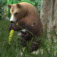 0_00064.png Bear DOWNLOAD Bear 3d model - animated for blender-fbx-unity-maya-unreal-c4d-3ds max - 3D printing Bear Bear