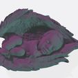 2.jpg NEWBORN BABY SLEEPING ON THE WINGS 3D print model