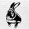 Sin-título.jpg rabbit mural