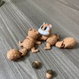 20250810_145319680_iOS.jpg Niedliches 3D gedrucktes Eichhörnchen Spielzeug mit Eicheln - austauschbare Gesichter