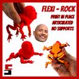 FLEXI = ROCK The Rock Flexi Toad Frog articulated print-in-place no supports Dwayne Johnson