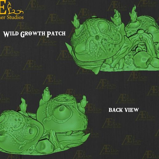 resize-7.jpg AEFYWD02 - Cold Growth