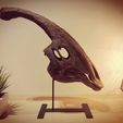 IMG_20201201_164719.jpg Dinosaurier-Schädel - Parasaurolophus