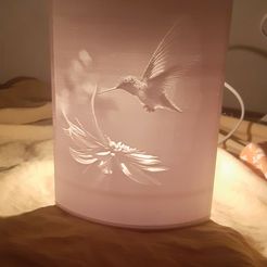 IMG-20230628-WA0008.jpeg COLIBRI-LAMPE