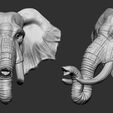 EL01.jpg Elephant Head