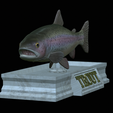 Rainbow-trout-statue-6.png fish rainbow trout / Oncorhynchus mykiss open mouth statue detailed texture for 3d printing