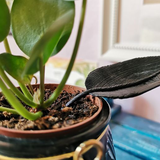 Watering sheet - 3D model önizlemesi