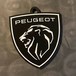 image2-5.jpeg Peugeot key ring