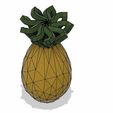 28c.JPG Pineapple / Pineapple /Ananas