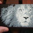 lion_boxart.jpg Printed Painting - Experiment