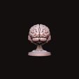 10.jpg Brain sculpture 3D print model