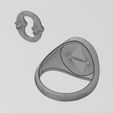 wf2.jpg Bone link insert signet ring US sizes 7to10 3D print model