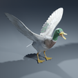 0010.png Photorealistic duck - posable/rigged [stl file included ]