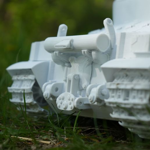 DSC01201.jpg A39 "Tortoise"