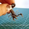 20231223_235458.jpg Radscorpion - Fallout creatures - high detailed scorpion even before painting