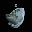 zander-head-trophy-12.png fish head trophy zander / pikeperch / Sander lucioperca open mouth statue detailed texture for 3d printing