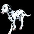 0_00017.jpg DOG - DOWNLOAD Dalmatian 3d model - Animated for blender-fbx- Unity - Maya - Unreal- C4d - 3ds Max - CANINE PET GUARDIAN WOLF HOUSE HOME GARDEN POLICE  3D printing DOG DOG