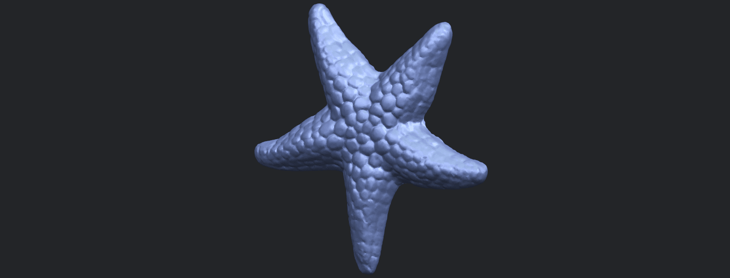 12_TDA0608_Starfish_02B02.png Download free file Starfish 02 • Template to 3D print, GeorgesNikkei
