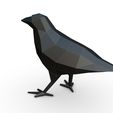 3.jpg crow figure 2