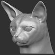 12.jpg Abyssinian cat head for 3D printing
