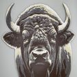 IMG_6999.jpeg Bison covered in Snow- WALL ART - HUEFORGE - FILAMENT PAINTING