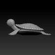 turtle_model_screenshot2.jpg Cute Detailed Sea Turtle Decoration Paperweight w/ Heart and Waves on Shell