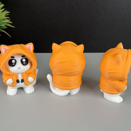 IMG_4983.jpg Gato con capucha