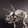 32602296965_b172a7f30b_k.jpg Triceratops prorsus Skeleton