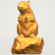 A09.png Squirrel 01