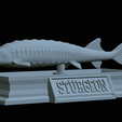 Sturgeon-statue-28.png fish beluga / sturgeon / huso huso / vyza velká statue detailed texture for 3d printing