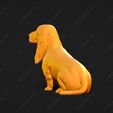 1115-Basset_Hound_Pose_05.jpg Basset Hound Dog 3D Print Model Pose 05