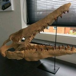 Mosasaurus Skull 3D Print