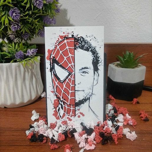 WhatsApp-Image-2025-07-30-at-6.06.11-PM-2.jpeg Spiderman Tobbey