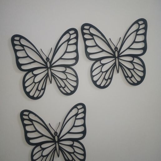 IMG_20251119_220140699.jpg Butterfly