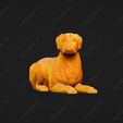 2560-Boxer_Pose_09.jpg Boxer Dog 3D Print Model Pose 09