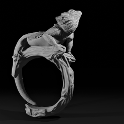 Side1.png Archivo STL Anillo Dragón Barbudo - Anillo Mascota Reptil・Diseño de impresora 3D para descargar